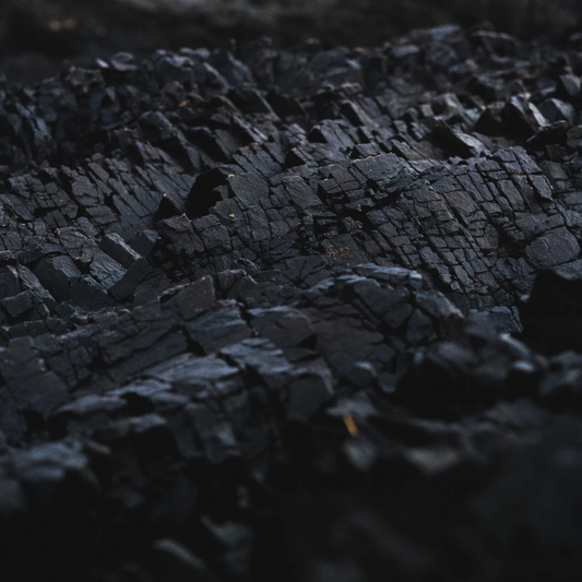 Activated Charcoal