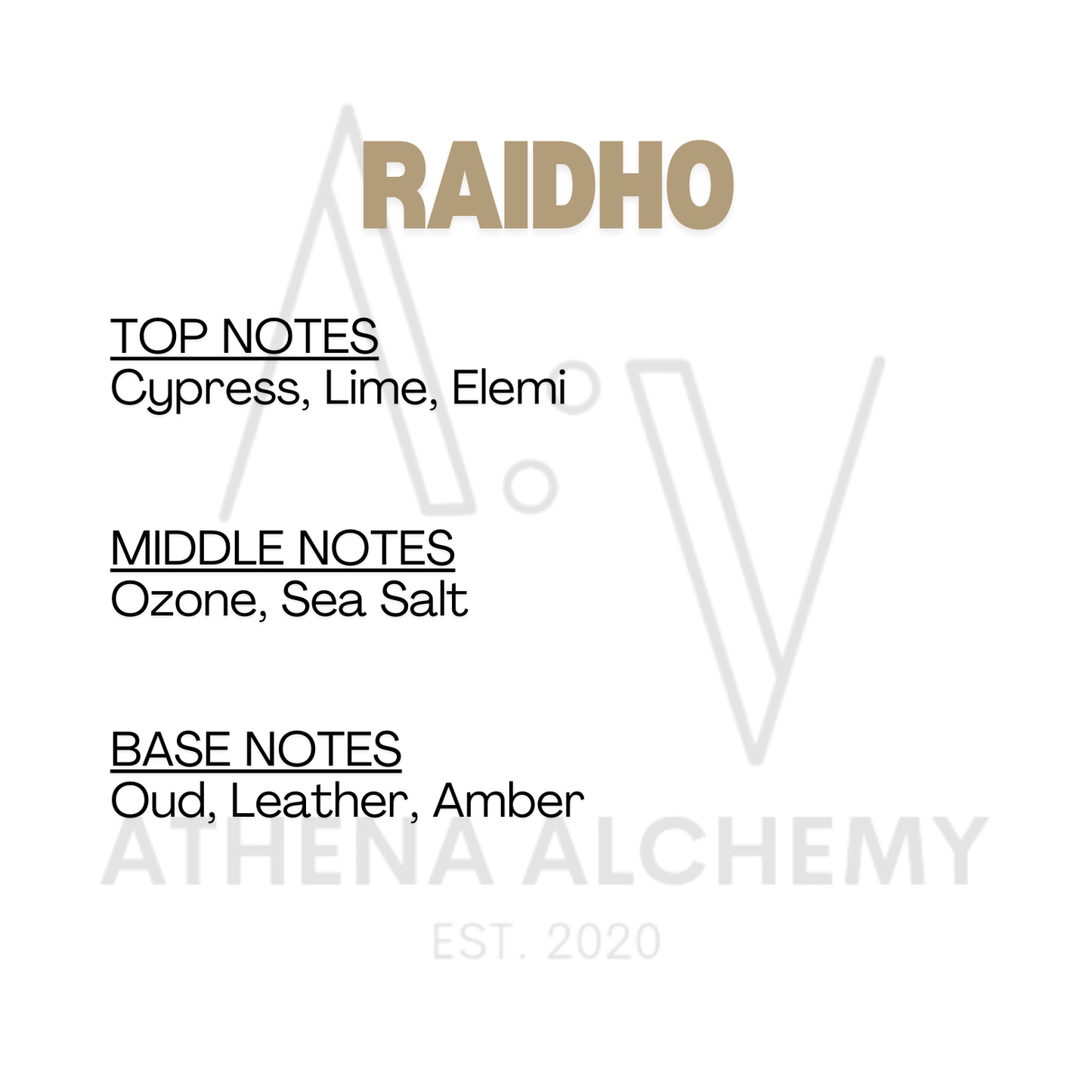 RAIDHO : Men’s Oil Based Cologne
